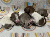Enlarge photo 27