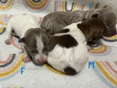 Enlarge photo 26