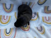 Enlarge photo 23