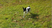 Enlarge photo 30