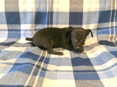 Enlarge photo 3