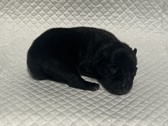 Enlarge photo 23
