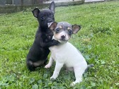Enlarge photo 8