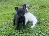 Enlarge photo 7