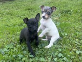 Enlarge photo 6