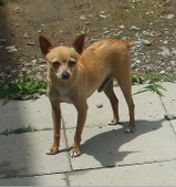 Enlarge photo 40