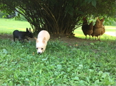 Enlarge photo 18