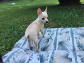 Enlarge photo 12