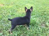 Enlarge photo 9