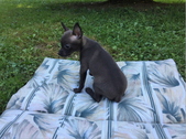 Enlarge photo 7