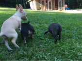 Enlarge photo 5