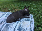 Enlarge photo 2