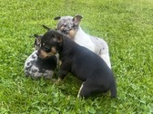 Enlarge photo 10
