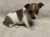 Enlarge photo 3