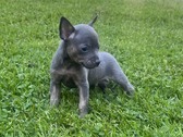 Enlarge photo 19