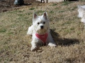 Enlarge photo 19