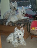Enlarge photo 24
