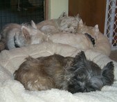 Enlarge photo 18