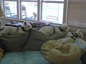 Enlarge photo 1