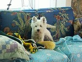 Enlarge photo 2