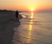 Florida Sunrises and Sunsets