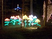 Enlarge photo 18