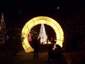 Enlarge photo 16