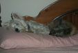 Enlarge photo 26