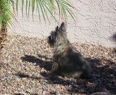 Enlarge photo 22