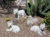 Enlarge photo 9