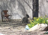 Enlarge photo 15