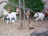 Enlarge photo 17