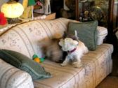 Playtime!!