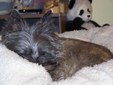 Enlarge photo 2