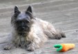 Enlarge photo 29