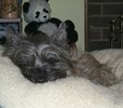 Enlarge photo 18