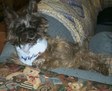 Enlarge photo 19
