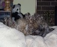 Enlarge photo 6