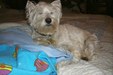 Enlarge photo 16