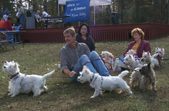 Enlarge photo 16