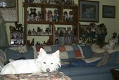 Enlarge photo 14
