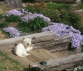Enlarge photo 21