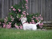 Enlarge photo 17