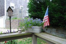 Enlarge photo 31