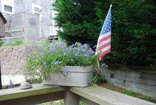 Enlarge photo 32