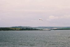 Enlarge photo 53