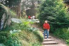 Enlarge photo 20