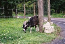 Enlarge photo 28