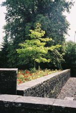 Enlarge photo 17