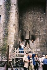 Enlarge photo 40